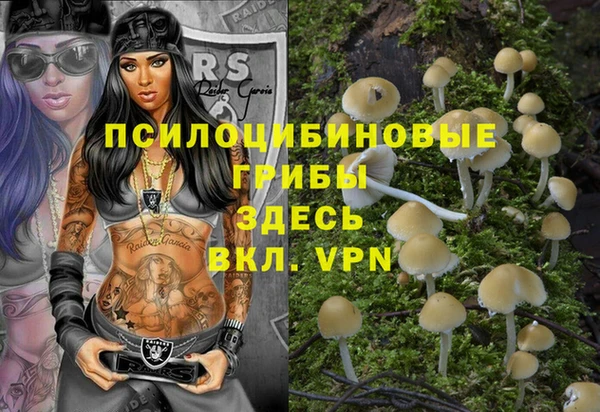 скорость Абаза