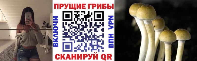 Галлюциногенные грибы мицелий  как найти   Великий Новгород 